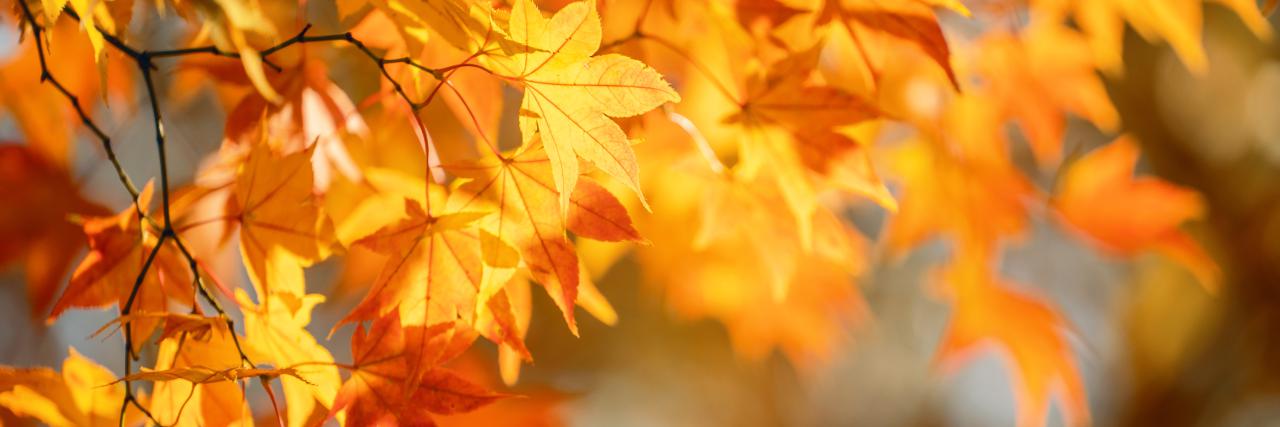 Herbstferien